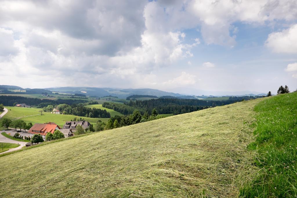 Gasthaus Sonne Neuhaeusle Sankt Märgen Exterior foto